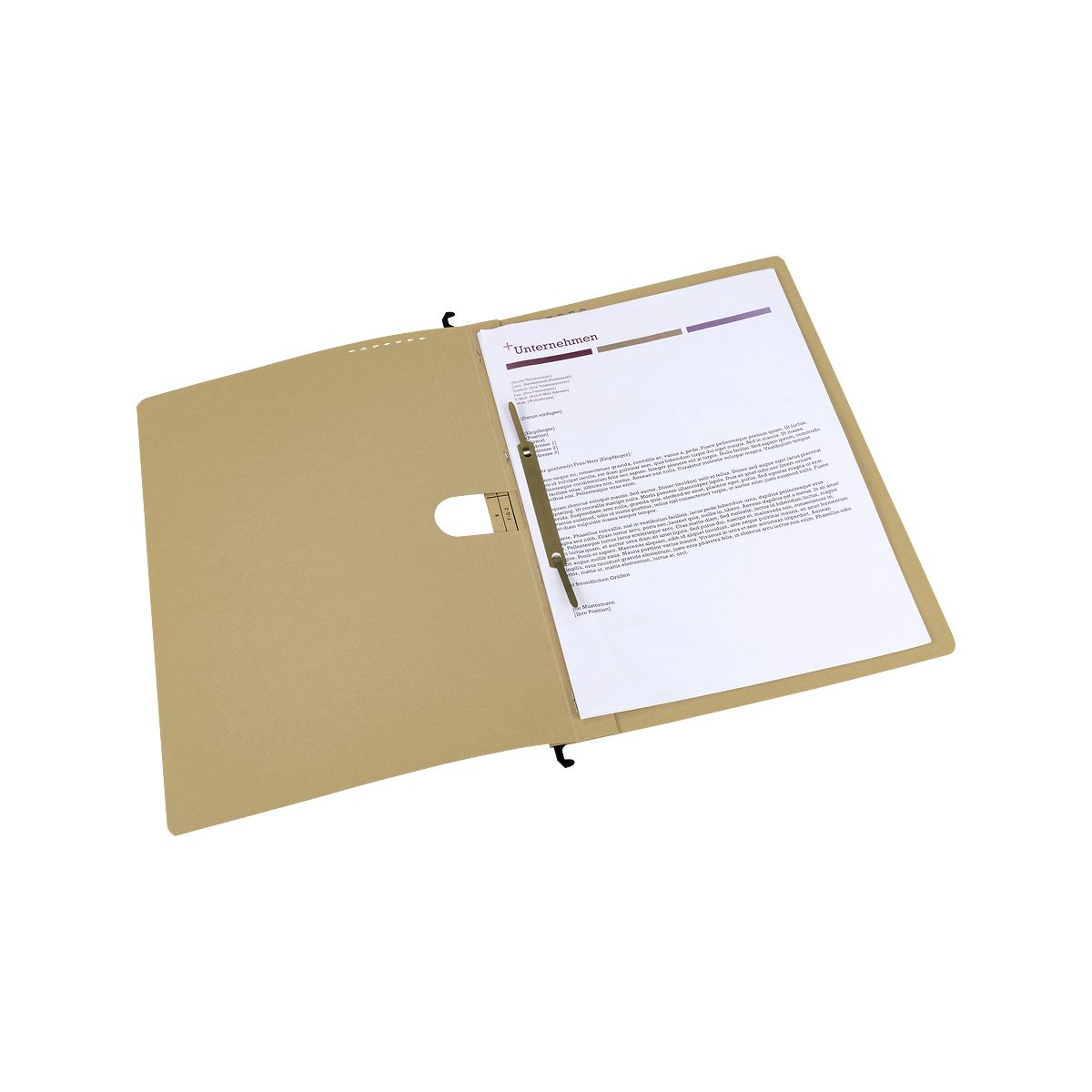 Skoroszyt Elba Vertic Ultimate wiszący A4 brązowy karton 230g (100081039)