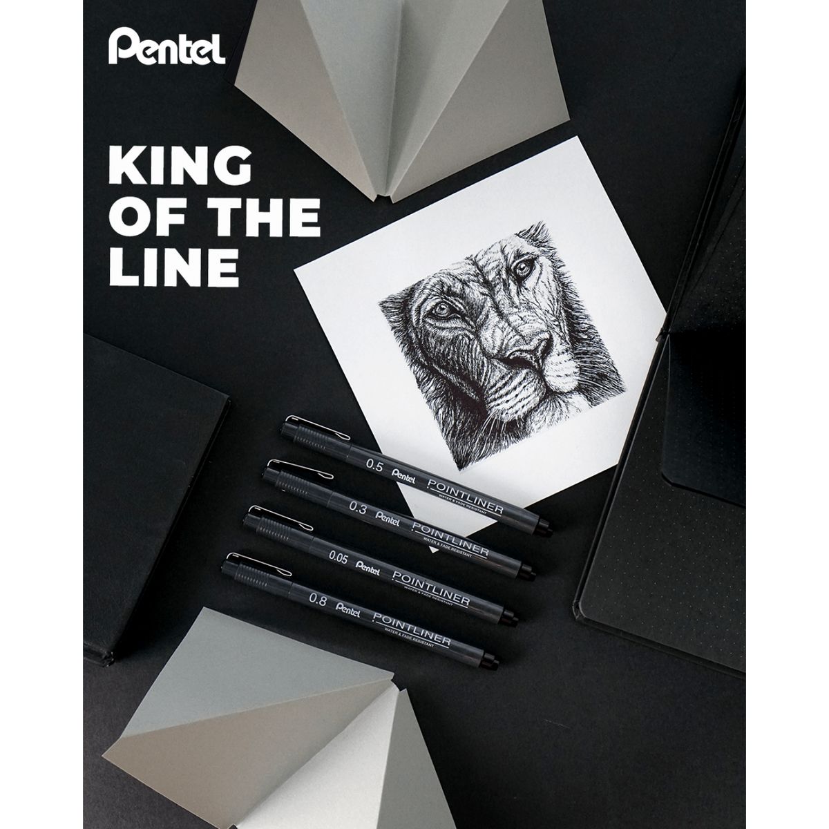 Cienkopis Pentel POINTLINER czarne mixmm 1kol. (XBLW355C)