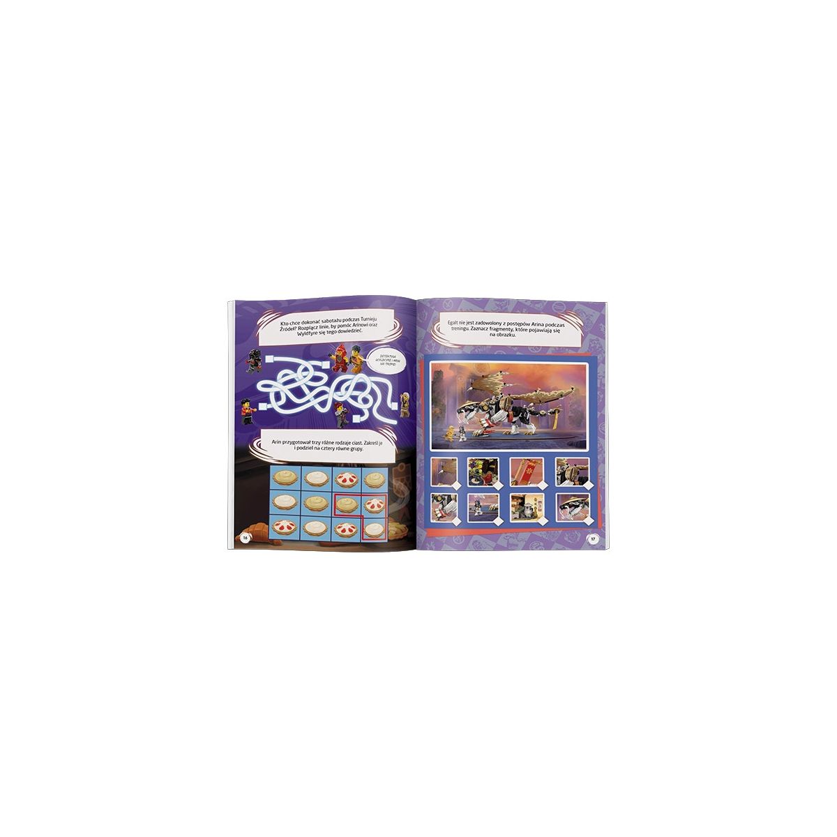 Książeczka edukacyjna LEGO® NINJAGO®. Wyprawa ninja Ameet (LNC 6738)