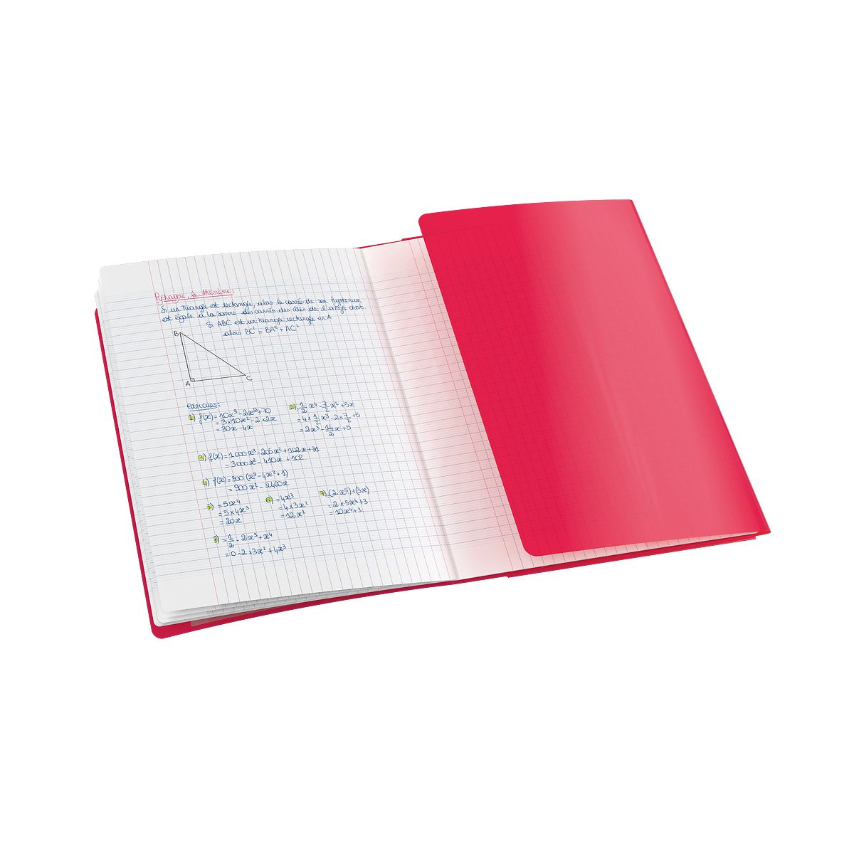 Zeszyt EASYBOOK A4 60k. 90g krata Oxford (400196700)