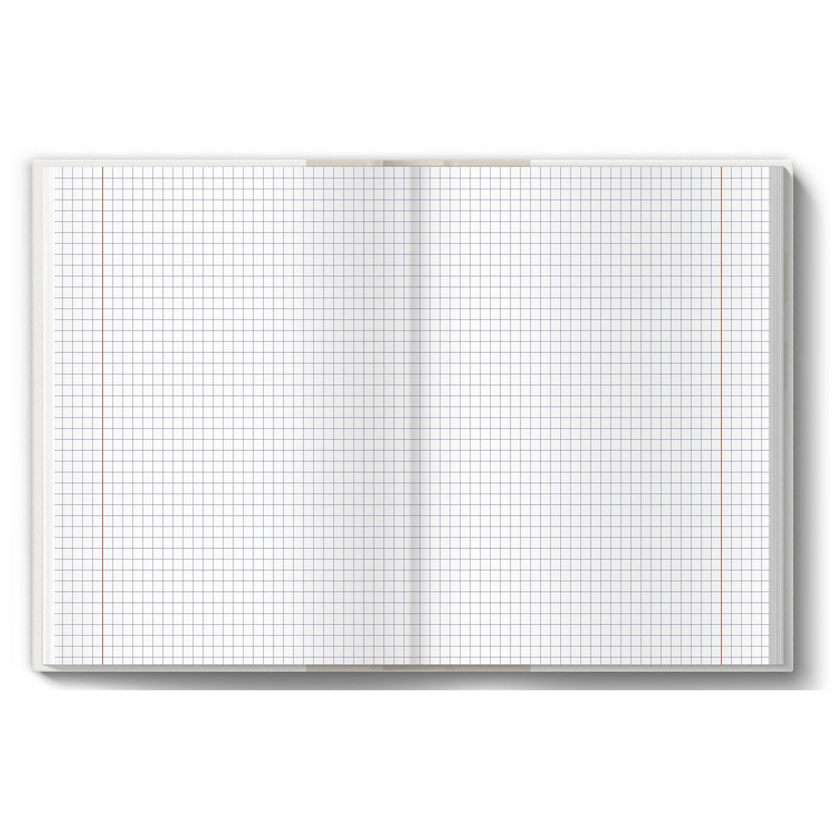 Brulion tematyczny Top 2000 biologia A5 80k. 70g krata (400160627)