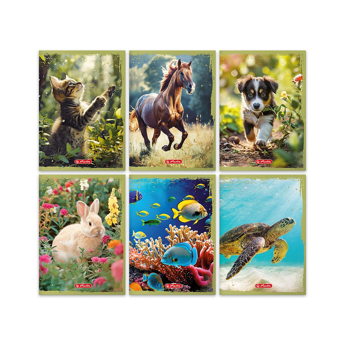 Zeszyt Herlitz Animals A5 16k. 70g krata kolorowa (400196855)