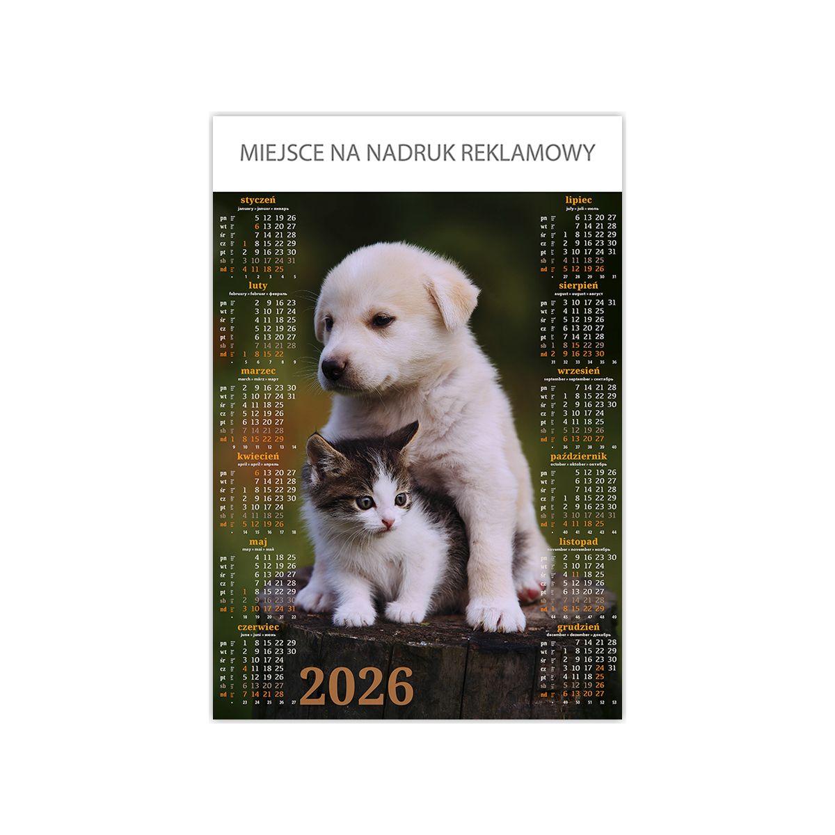 Kalendarz ścienny Telegraph PRZYJACIELE plakatowy 670mm x 988mm (18)
