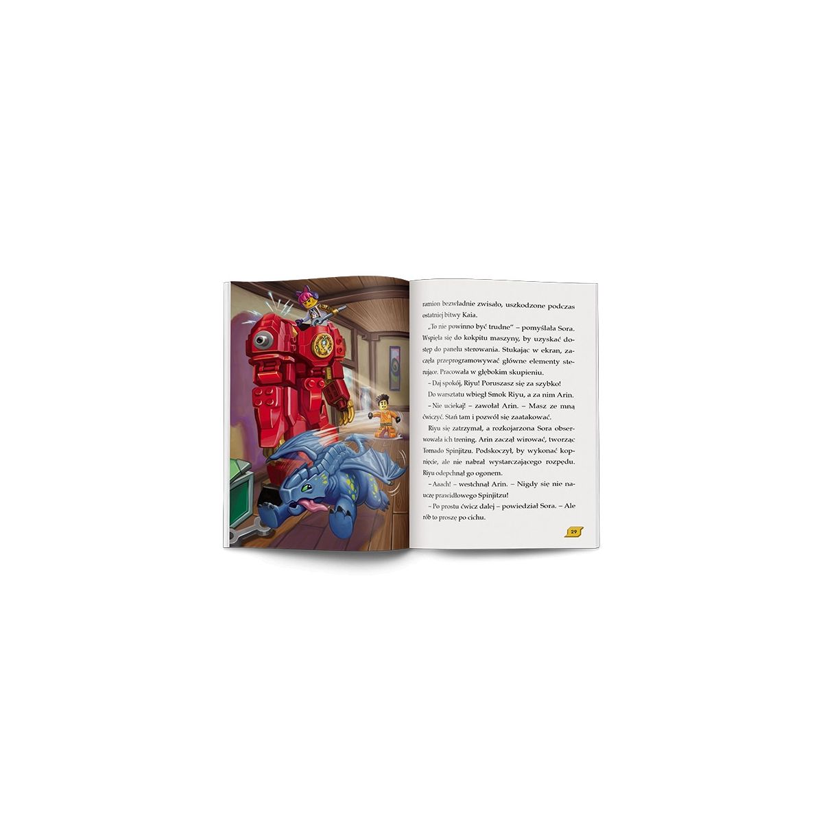 Książeczka edukacyjna Ameet LEGO® NINJAGO®. Moce i zdolności (LNR 6728)