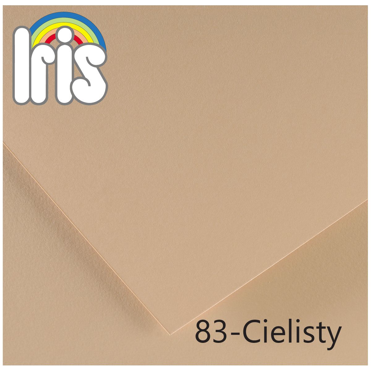 Brystol Canson Iris (400108016)