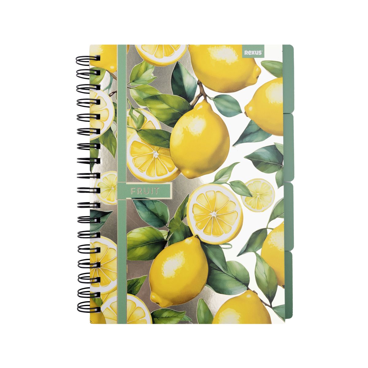 Notes Beniamin metaliza B5 96k. krata
