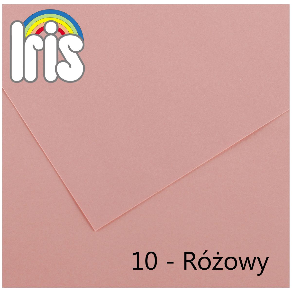 Brystol Canson Iris 10 A4 różowy 120g 100k (200040009)