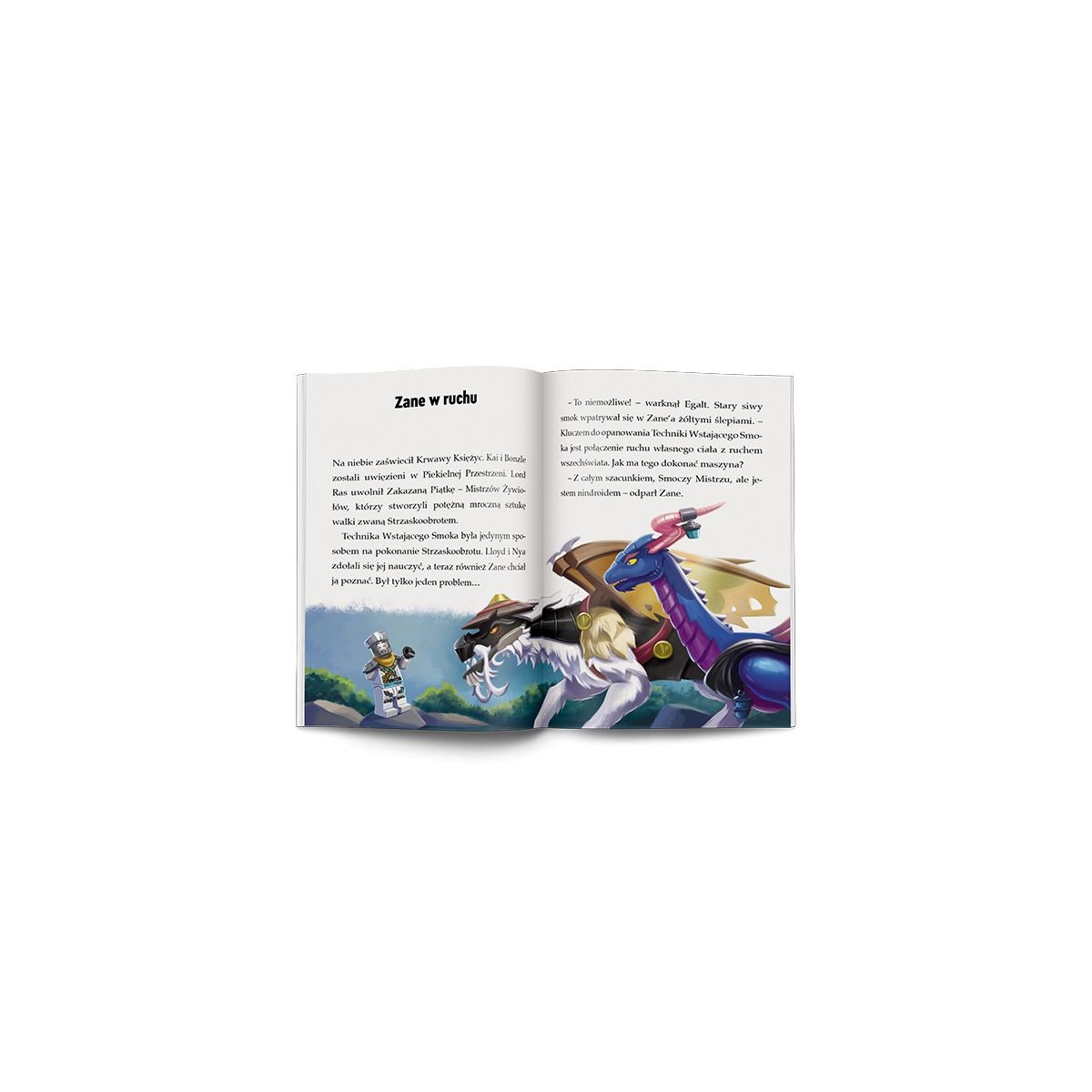 Książeczka edukacyjna Ameet LEGO® NINJAGO®. Moce i zdolności (LNR 6728)