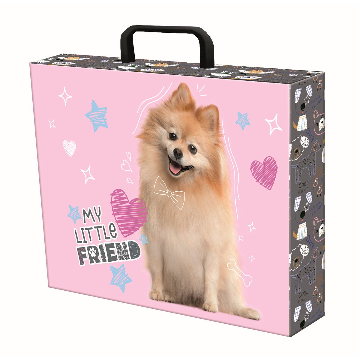 Teczka kartonowa My Little Friend Sweet Pomeranian Unipap