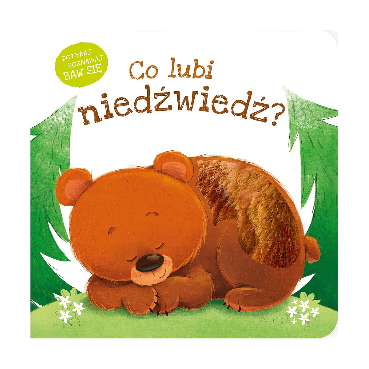 Książeczka edukacyjna Co lubi niedzwiedz? Zielona Sowa