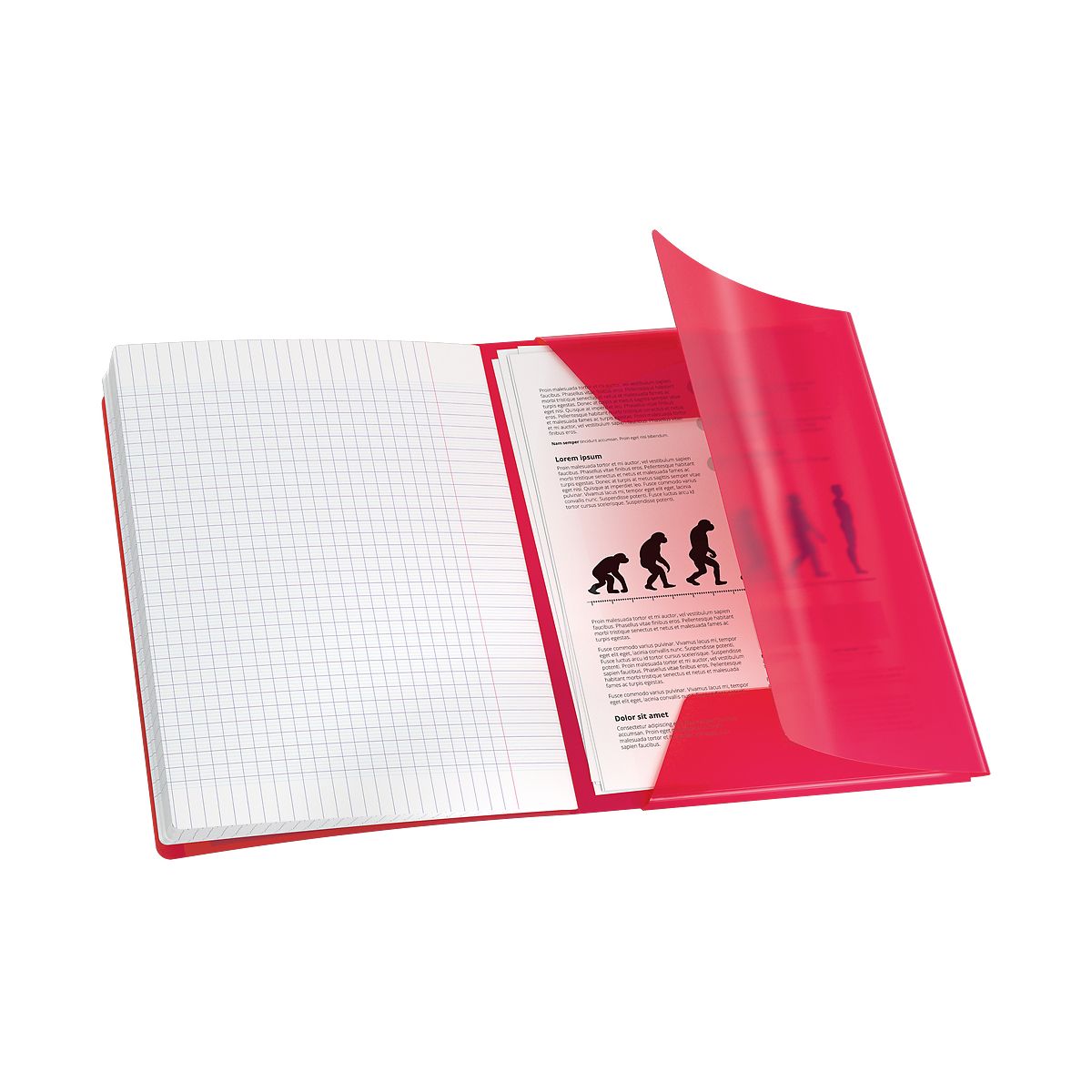Zeszyt EASYBOOK A4 60k. 90g krata Oxford (400196700)
