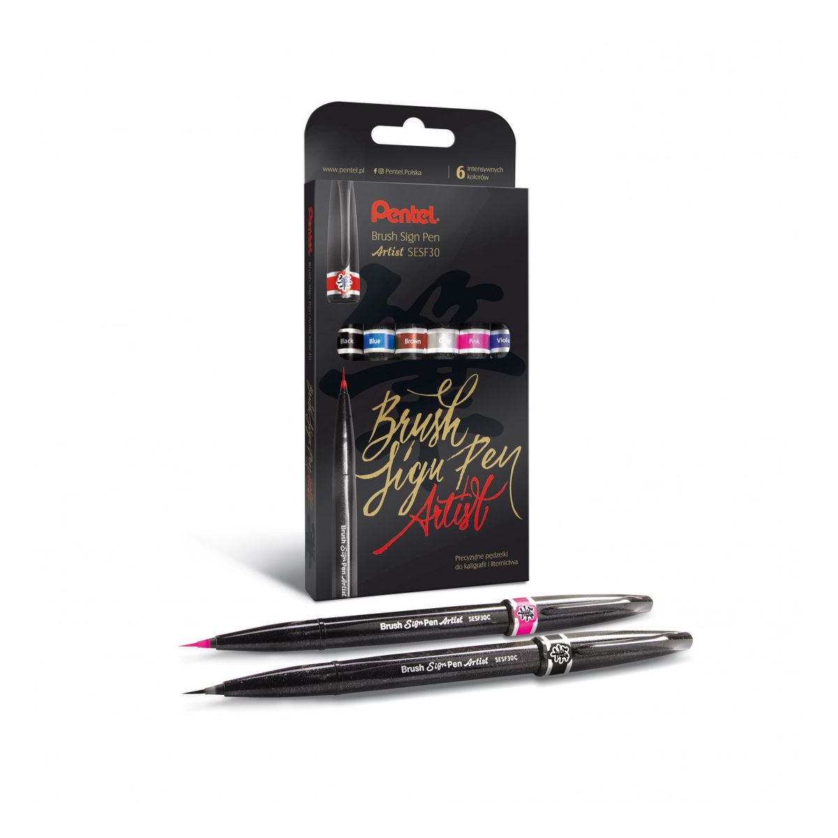 Flamaster Pentel 6 kol. (SESF30-st6ACENPVPL)