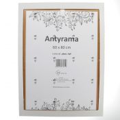 Antyrama M-interio plexi plexi [mm:] 600x800