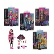 Lalka Mattel Monster High podstawowa (HPD53)