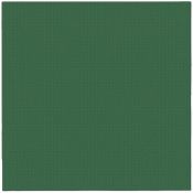 Serwetki Paw Softpoint Unicolor zielony bibuła [mm:] 380x380 (PUND000016)
