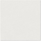 Serwetki Paw Softpoint Unicolor biały bibuła [mm:] 380x380 (PUND000000)