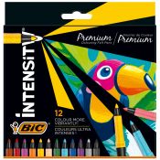 Flamaster Bic flamstry 12 kol. (977891)