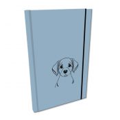 Notes Ev-corp (NA5GSTUVP L-02)