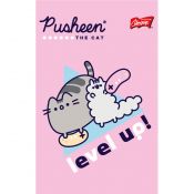 Notes Unipap PUSHEEN A6 50k. krata