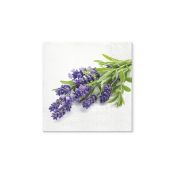 Serwetki Paw Lavender Bunch mix bibuła [mm:] 330x330 (TL702200)