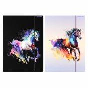Teczka kartonowa na gumkę Horses A4 mix Starpak (559714)