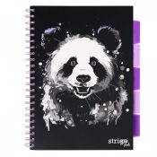 Kołozeszyt (kołobrulion) Strigo ANIMALS panda A4 100k. 80g linia (PADS093)