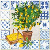 Serwetki Paw Lunch Citrus tree mix nadruk bibuła [mm:] 330x330 (SDL145700)