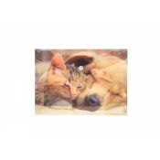 Teczka plastikowa na guzik FRIENDSHIP A5 mix Panta Plast (0410-0069-55)