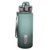 Bidon Paso (PPMI-3028)