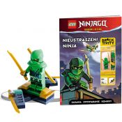 Książeczka edukacyjna Ameet LEGO® NINJAGO®. Nieustraszeni NINJA LNC 6728 P1