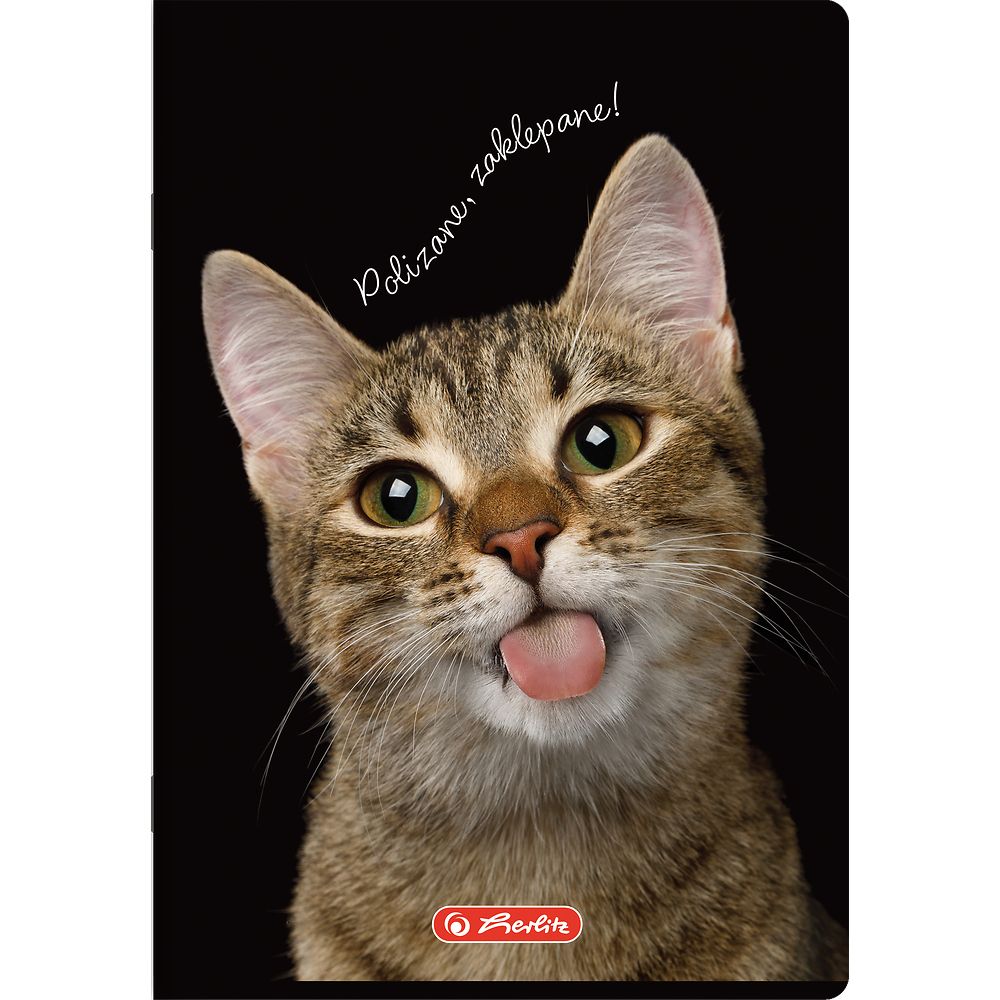 Zeszyt Herlitz Crazy Animal A5 80k. 70g krata (400196839)
