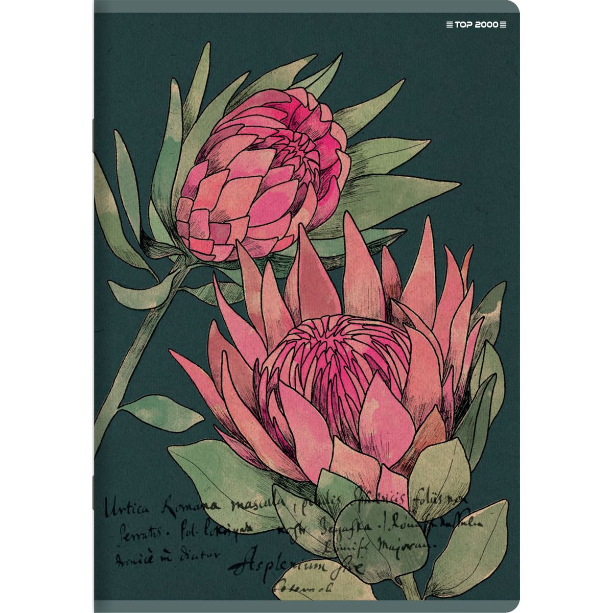 Zeszyt Top 2000 FLOWERS A5 32k. 70g linia (400169418)