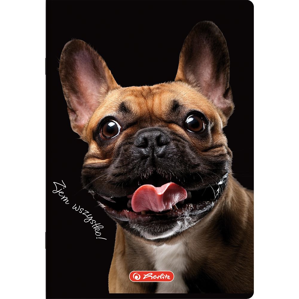 Zeszyt Herlitz Crazy Animal A5 80k. 70g krata (400196839)