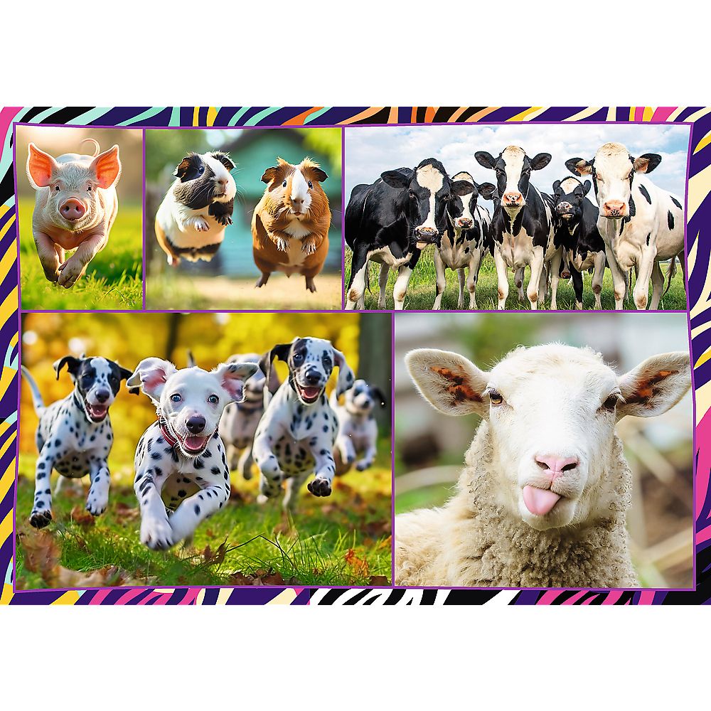 Puzzle Trefl zwierzaki 4x250 el. (13313)