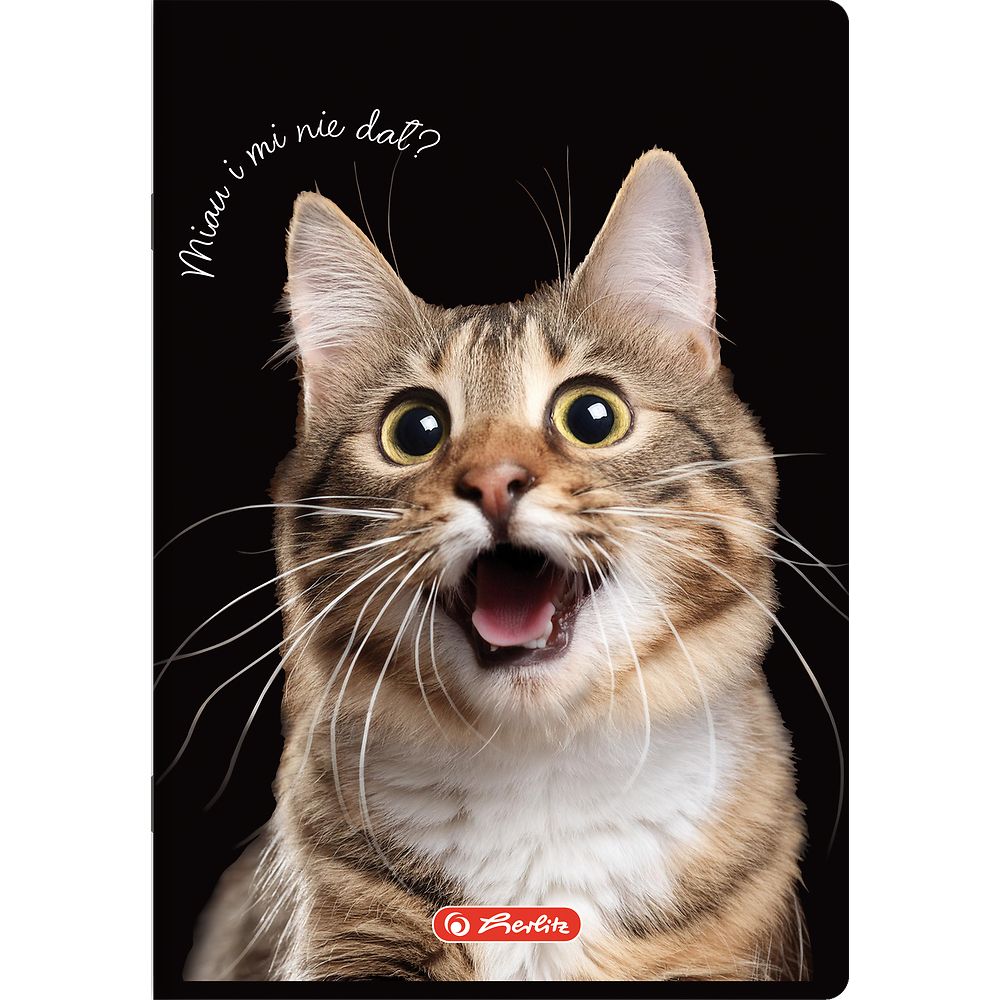 Zeszyt Herlitz Crazy Animal A5 60k. 70g krata (400196837)