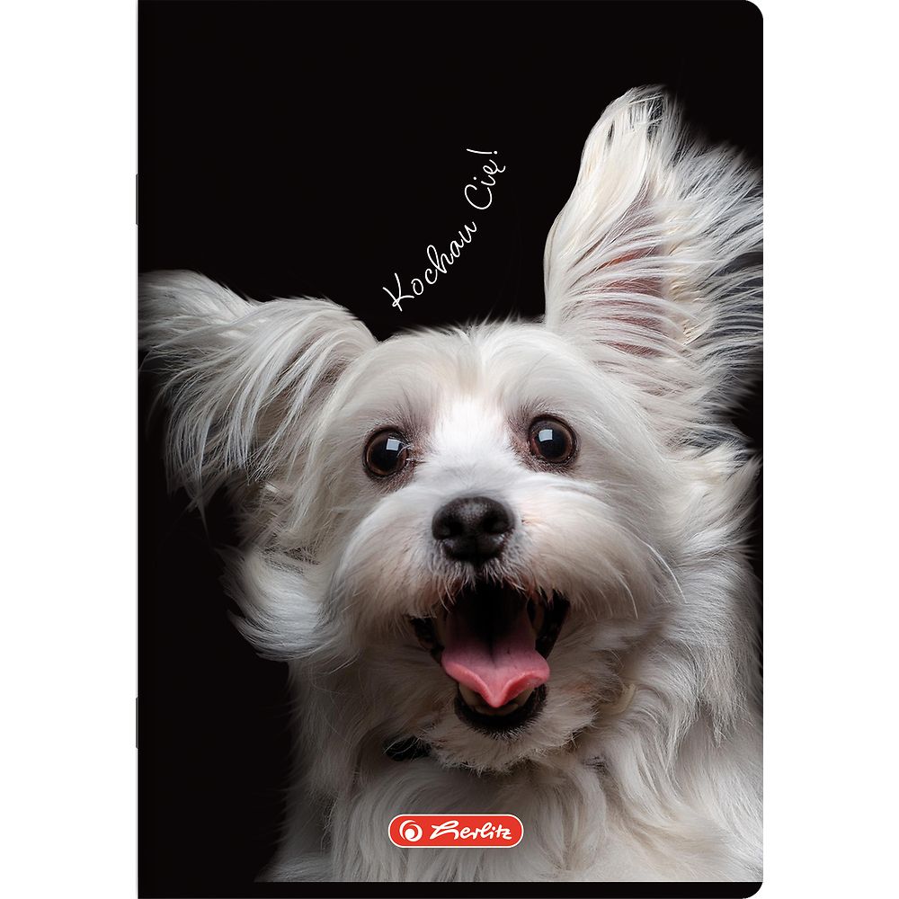 Zeszyt Herlitz Crazy Animal A5 80k. 70g krata (400196839)
