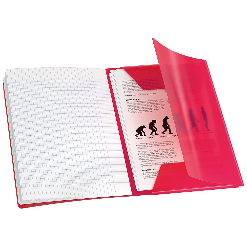 Zeszyt EASYBOOK A4 60k. 90g krata Oxford (400196700)