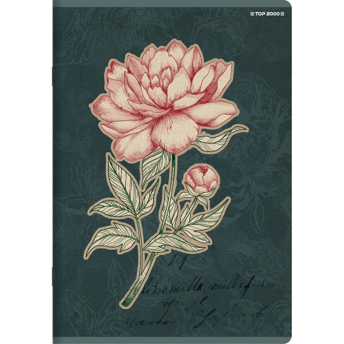 Zeszyt Top 2000 FLOWERS A5 32k. 70g linia (400169418)