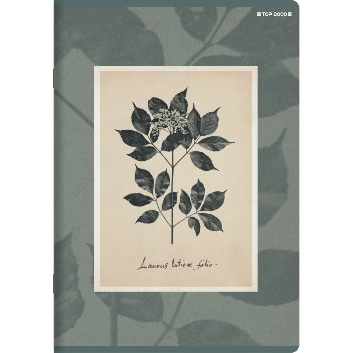 Zeszyt Top 2000 FLOWERS A5 32k. 70g linia (400169418)