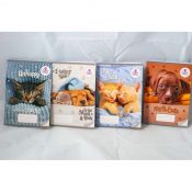 Zeszyt Beniamin THE SWEET PETS A5 16k. linia kolor